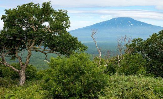 Как российская империя потерпела поражение от японцев