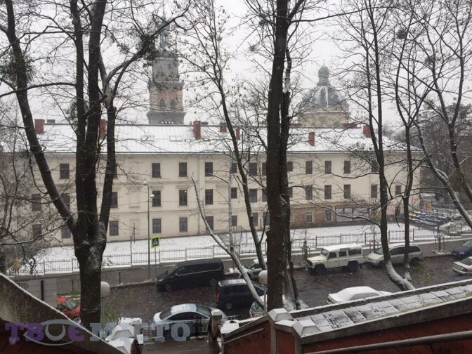 ''Наконец-то!'' В сети восторг из-за первого снега во Львове