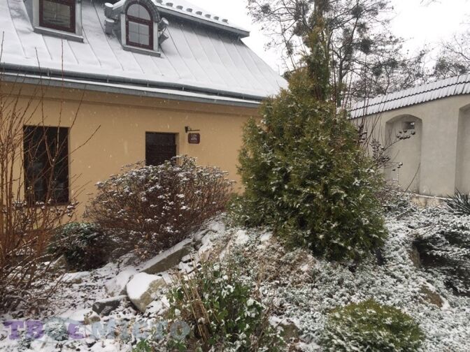 "Нарешті!'' Мережа у захваті через перший сніг у Львові