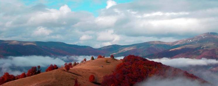 Оповиті туманом: у мережі опублікували барвисті фото Карпат
