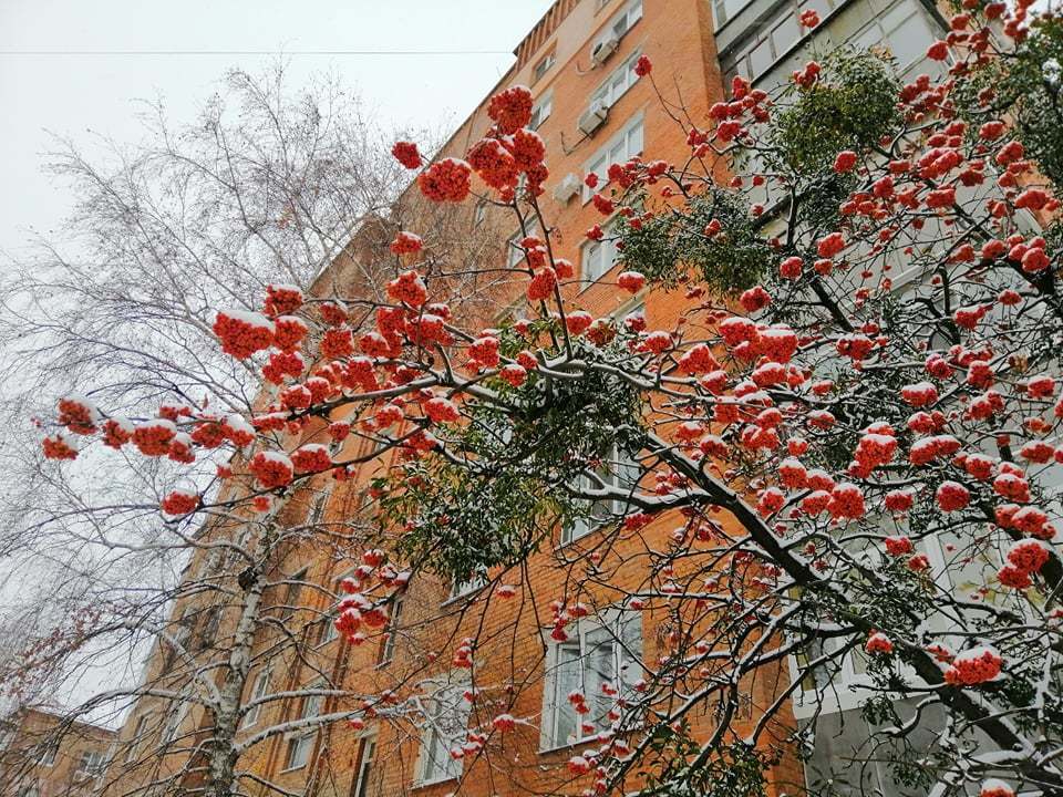 Полтаву засыпало снегом: опубликовано сказочные фото