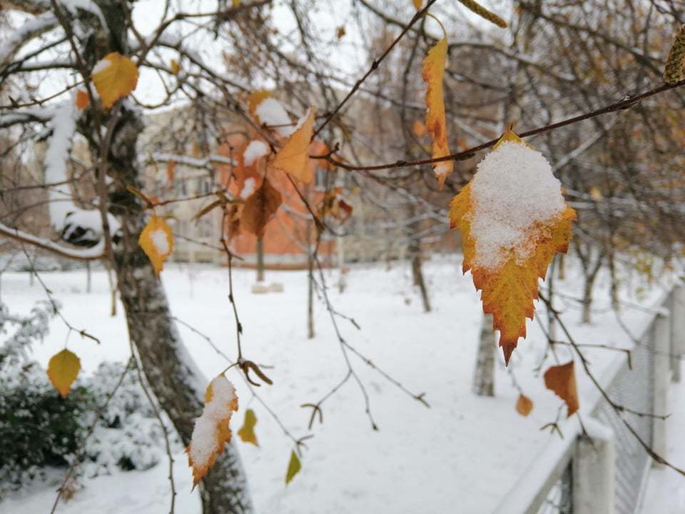 Полтаву засыпало снегом: опубликовано сказочные фото