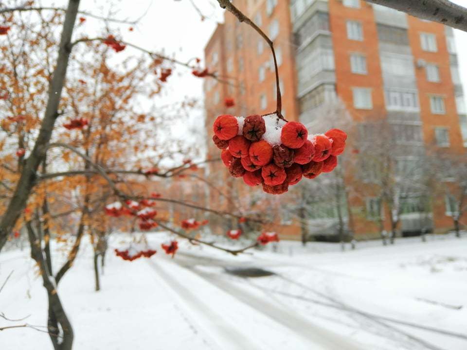 Полтаву засыпало снегом: опубликовано сказочные фото