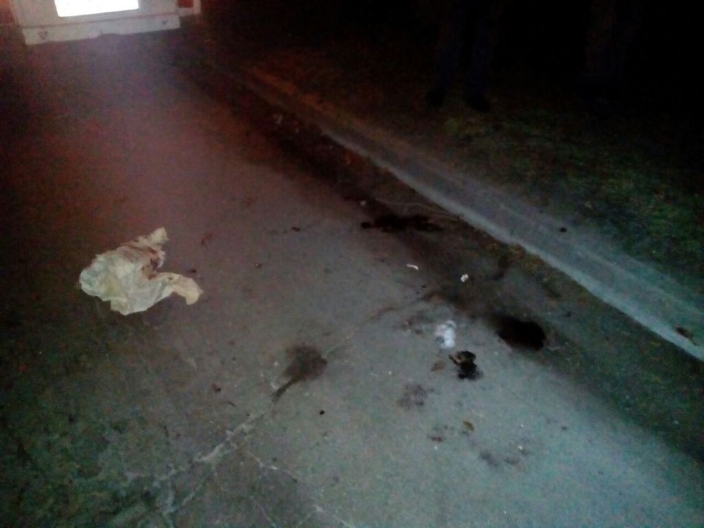 В Запорожье автомобиль снёс пешехода