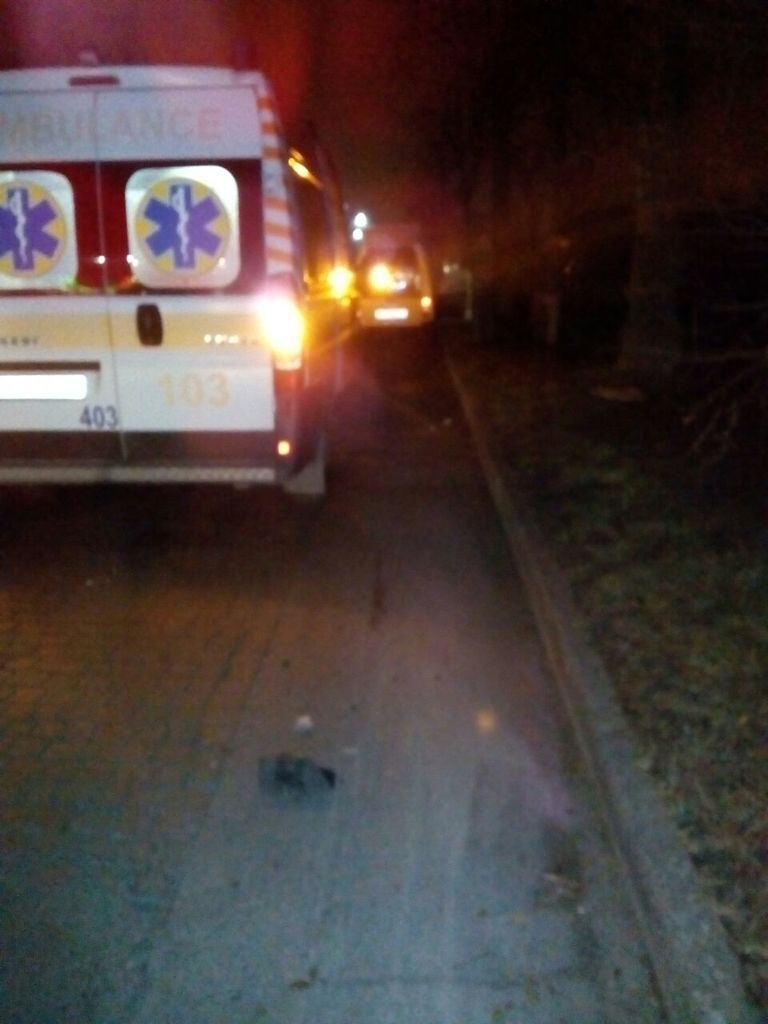 В Запорожье автомобиль снёс пешехода