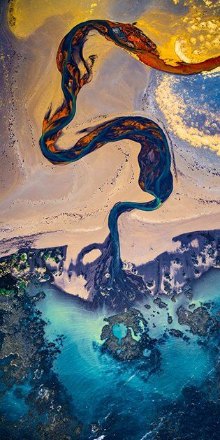 Тюльпаны и Северное сияние: в сети появились красочные фото разных уголков планеты