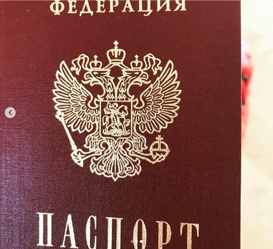 Російський паспорт Полуніна