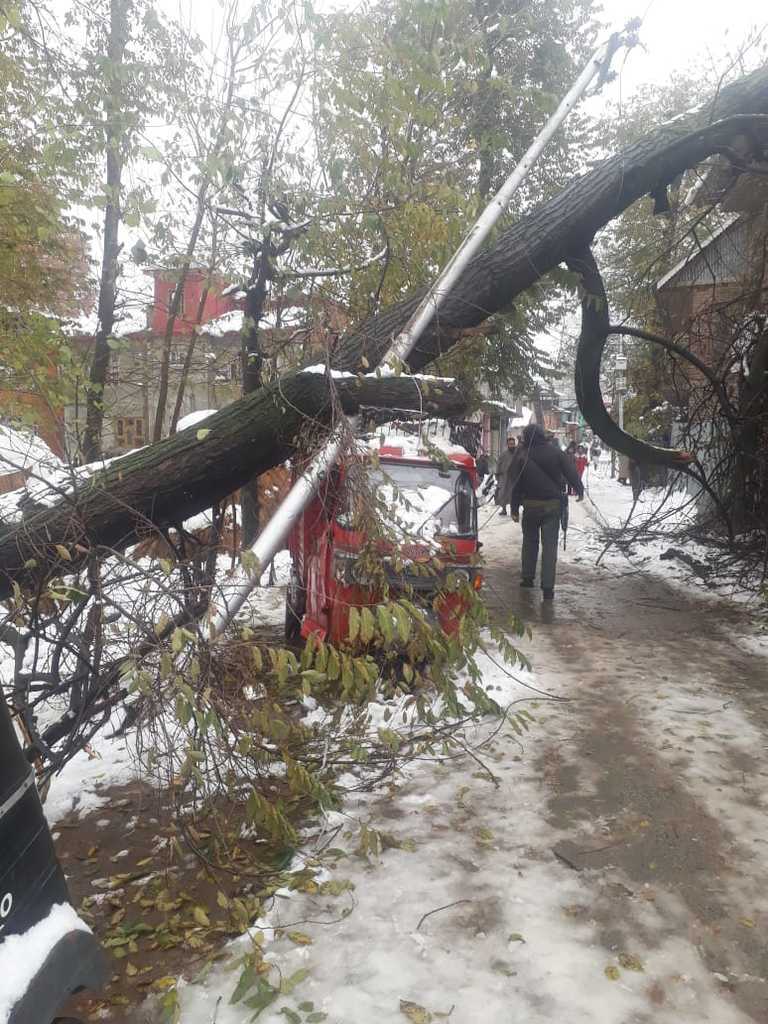 Сніговий армагеддон: Індію замело вперше за 10 років. Фото стихії