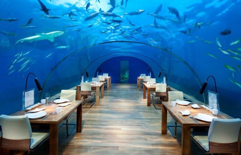 С рыбами и акулами: на Мальдивах появился необычный отель