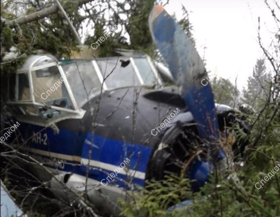 В России самолет с пассажирами сел на деревья: подробности ЧП