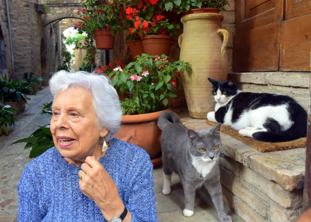 В сети появились красочные фото цветочного города Италии