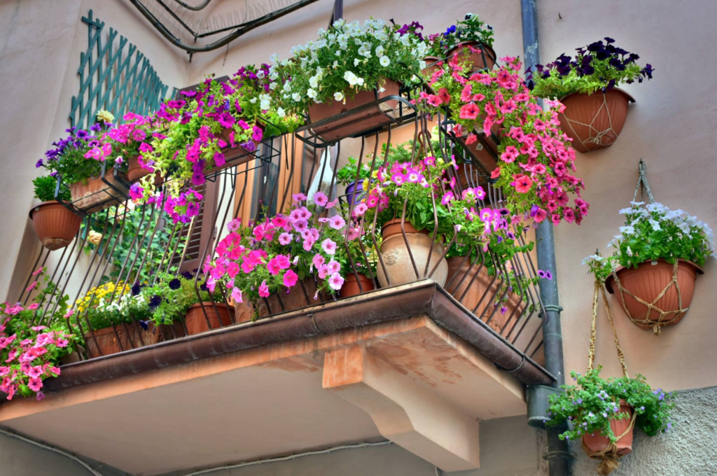 В сети появились красочные фото цветочного города Италии