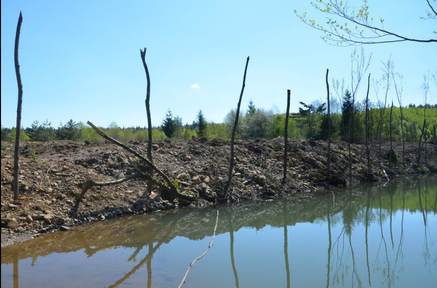 Збудник раку у пісочницях: екологи шокували станом міст в Україні