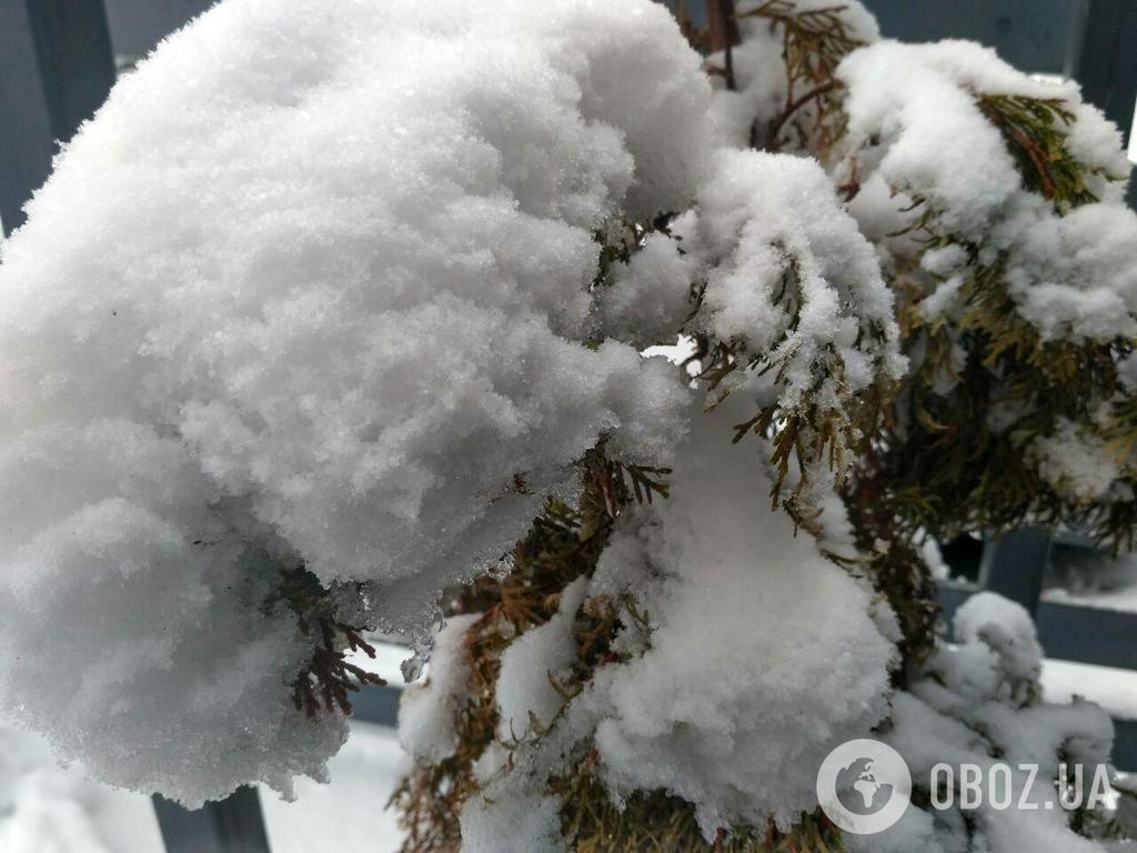 Снегопад в Киеве