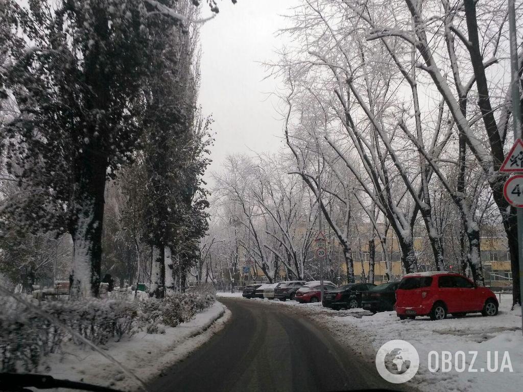 Снегопад в Киеве: что известно о ''жертвах'' непогоды