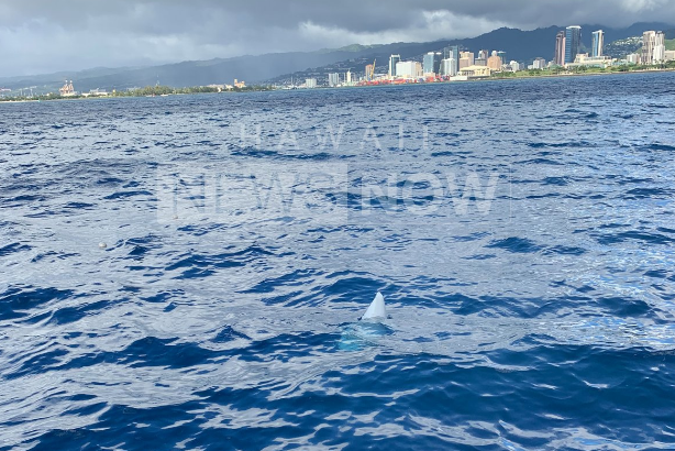 Ð?ÑÑÑебиÑÐµÐ»Ñ Ð¡Ð¨Ð ÑÑÑ
нÑл в океан: ÑоÑо и видео ÑÑагиÑеÑкого падениÑ