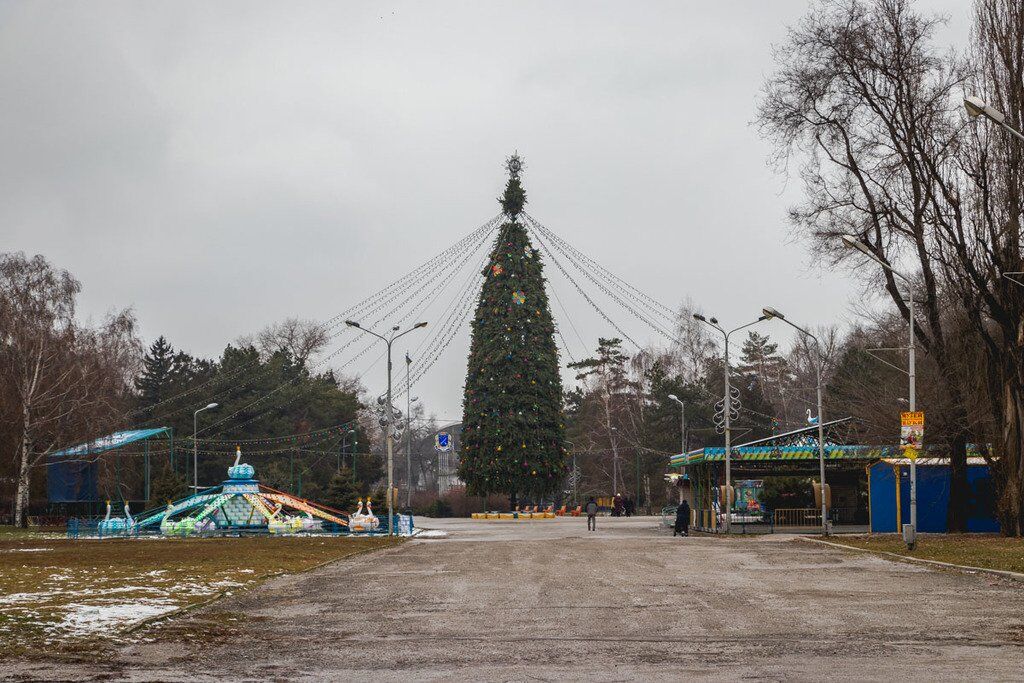 У Дніпрі встановили головну ялинку міста: як вона виглядає