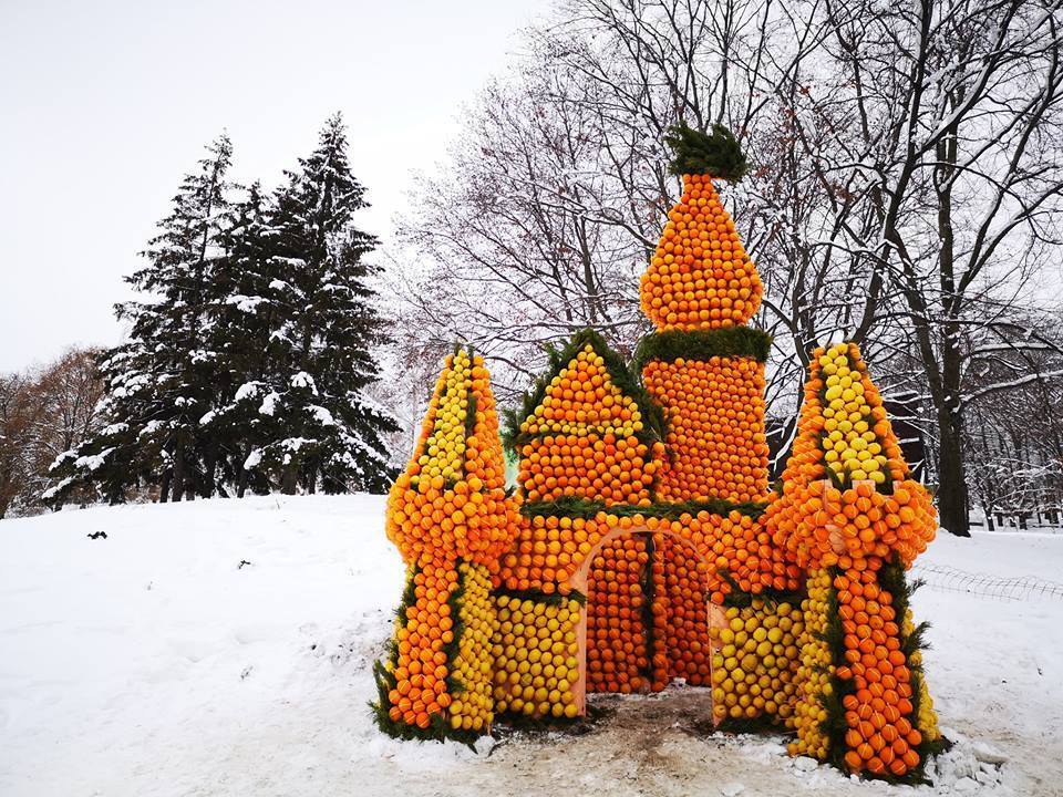 В Киеве появилось цитрусовое королевство: яркие фото