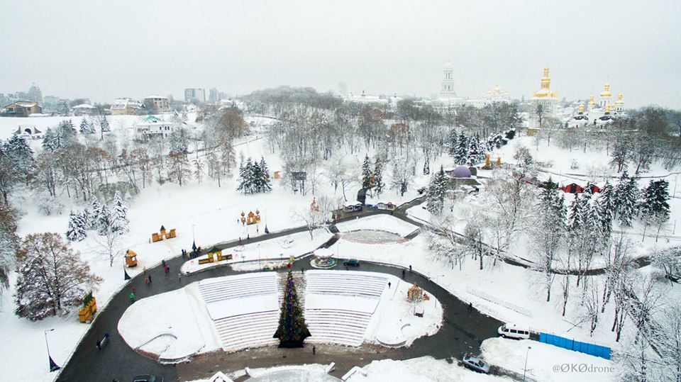 В Киеве появилось цитрусовое королевство: яркие фото