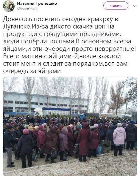 Сбылась мечта идиота: в Луганске очередь за яйцами