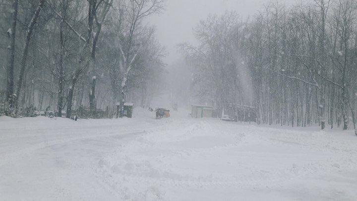 Снігопад у Харкові