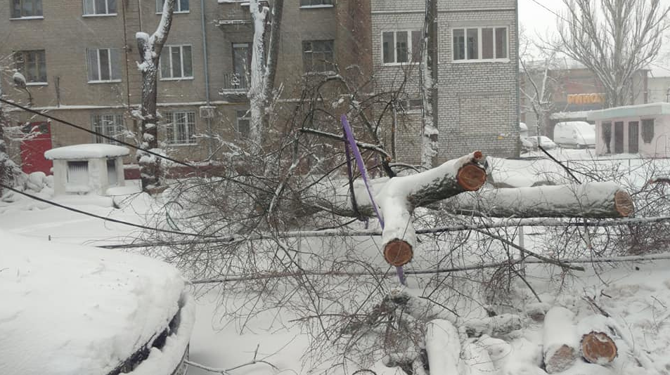 Ураганный ветер и метель: Украину накрыла непогода