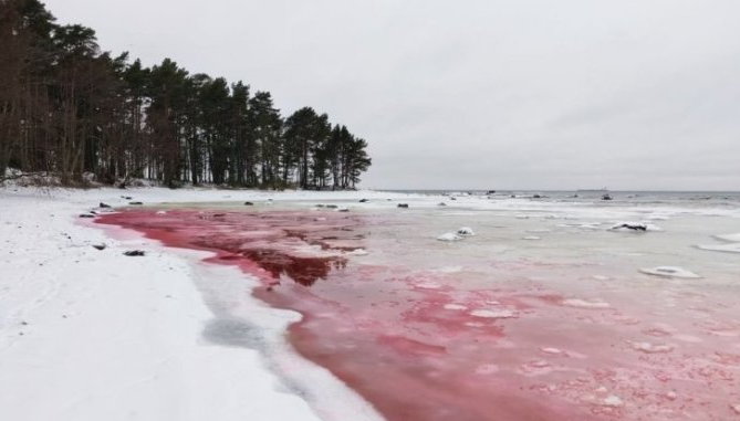 В Естонії море стало криваво-червоним: фото моторошної аномалії