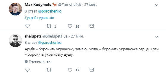 Порошенко сделал первый пост про кота