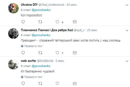 Порошенко зробив перший пост про кота