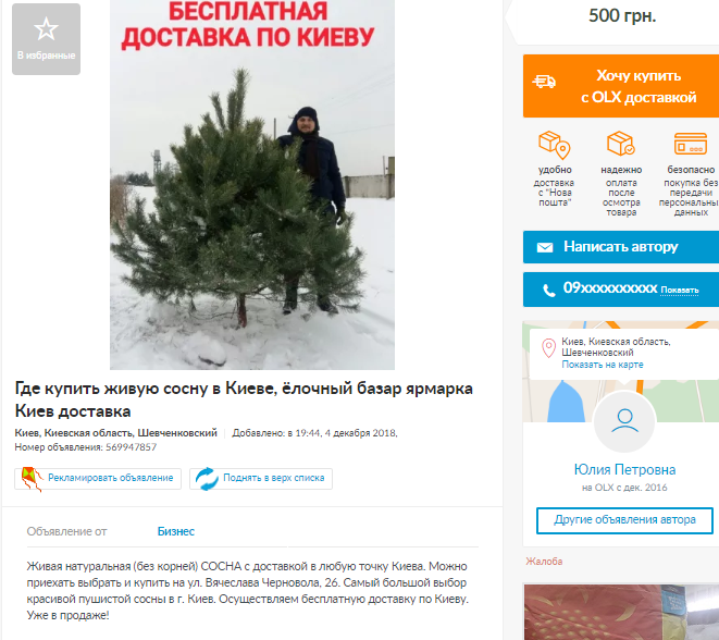 Дерева з радіацією: українцям продають небезпечні новорічні ялинки