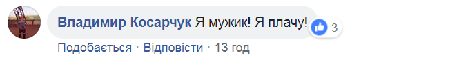Лариса Ніцой