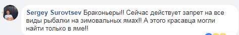 Ось це чудовисько: рибалки виловили величезного сома біля Черкас