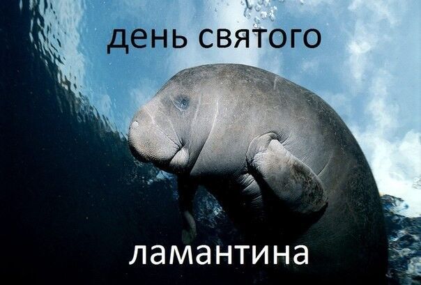 Анекдоти до Дня святого Валентина: як розсмішити улюблених