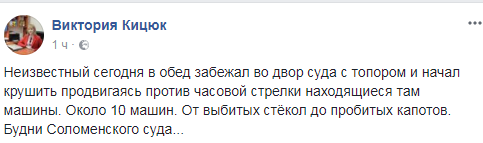 Трощив сокирою: чоловік влаштував свавілля біля суду в Києві