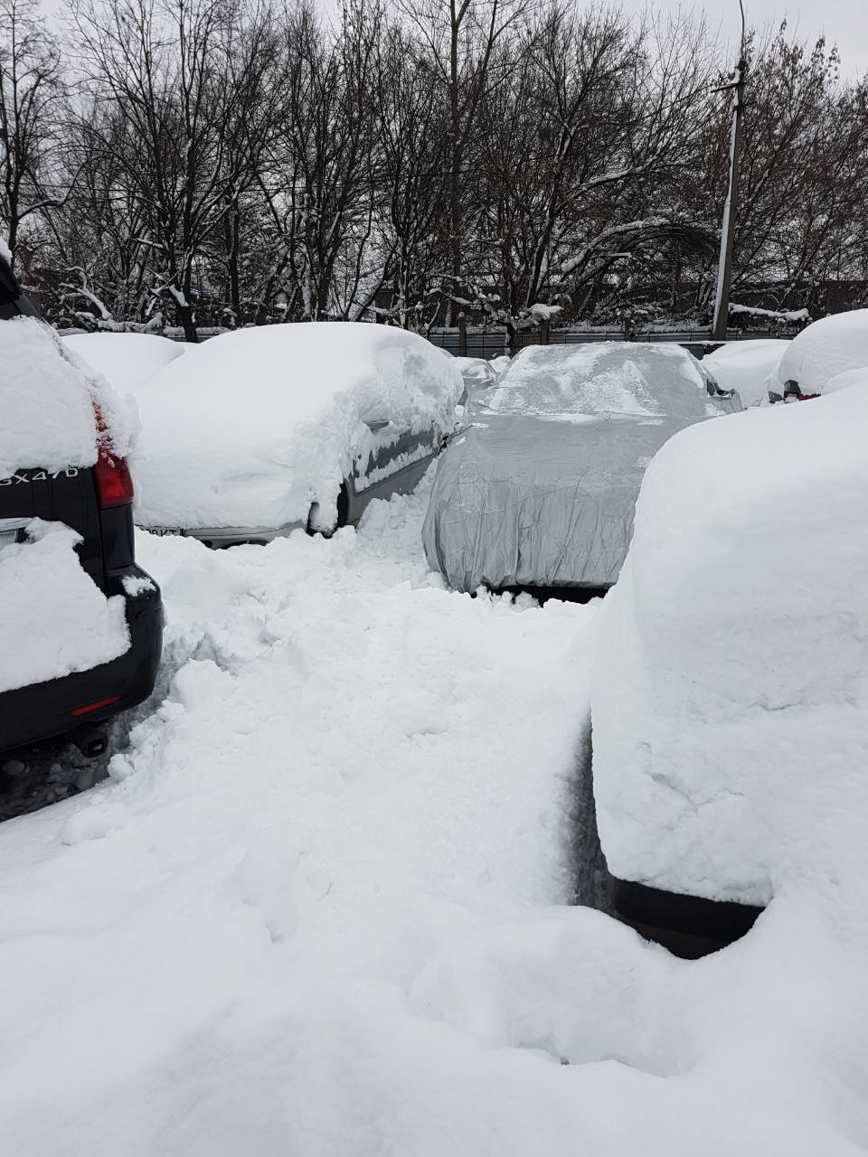 Арестованные автомобили Крючкова практически пришли в негодность