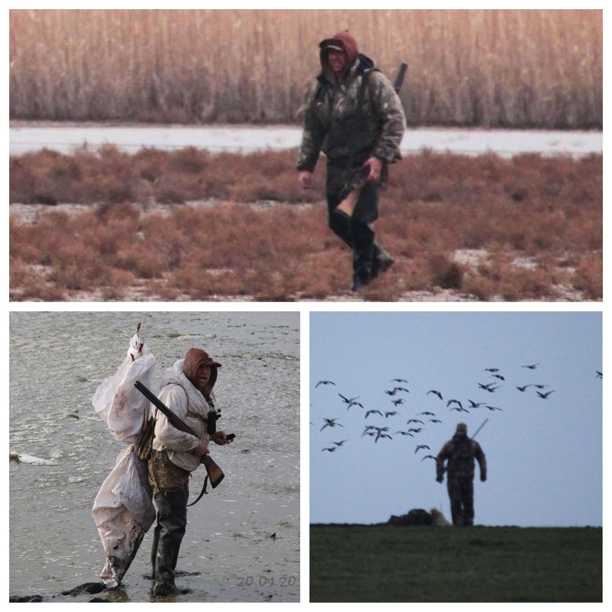 Охотники и браконьеры на территории "Тузловских лиманов"