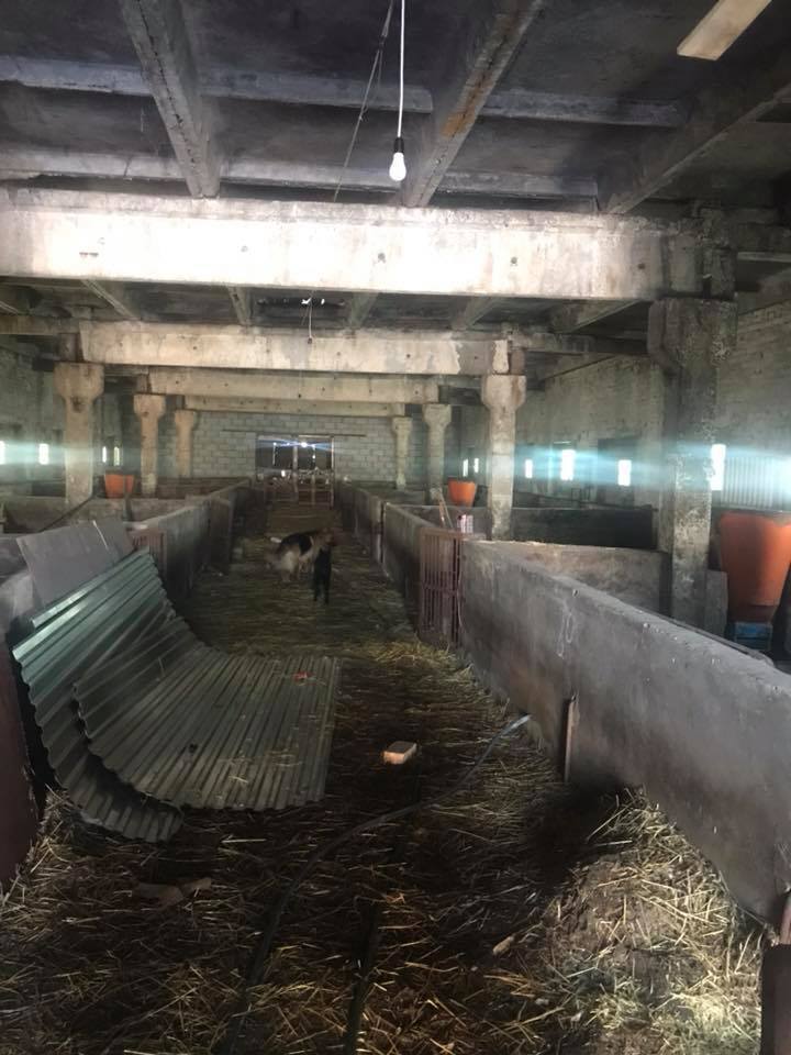 Прикинулись овечками: на Киевщине "нарыли" подземный спиртзавод