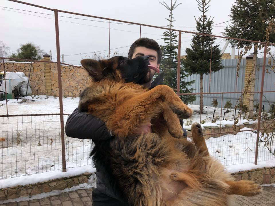 Возвращение блудного Бантика: в Киеве нашли похищенного щенка. Трогательные фото
