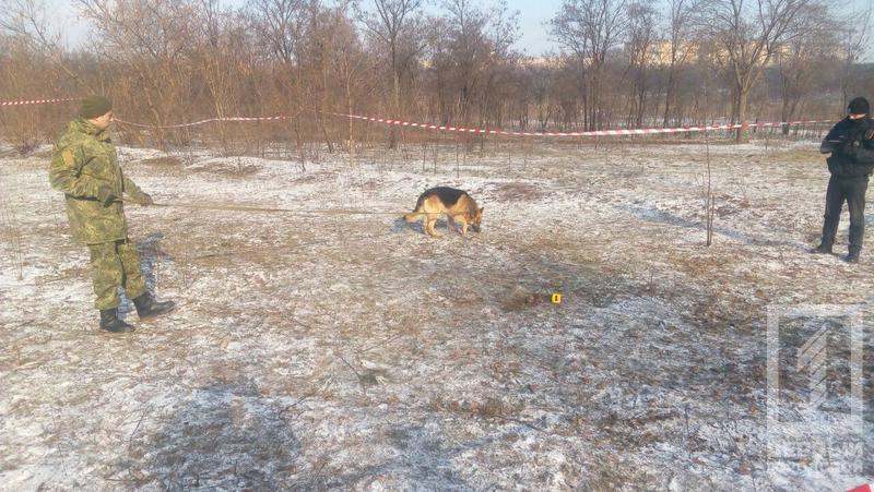 В Кривом Роге собака откопала тело ребенка: фото 18+