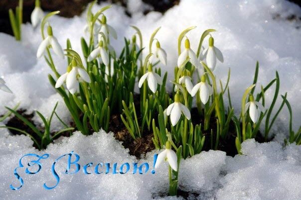 1 марта: поздравления, смс, открытки с первым днем весны