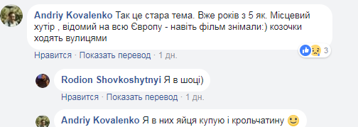 "Скоро страусов разведут": в Киеве жителей удивили парнокопытные животные