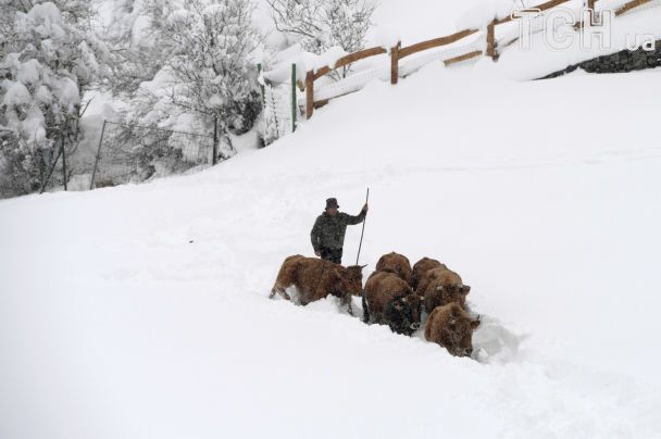 Сніг по пояс і закриті дороги: країни Європи атакувала негода