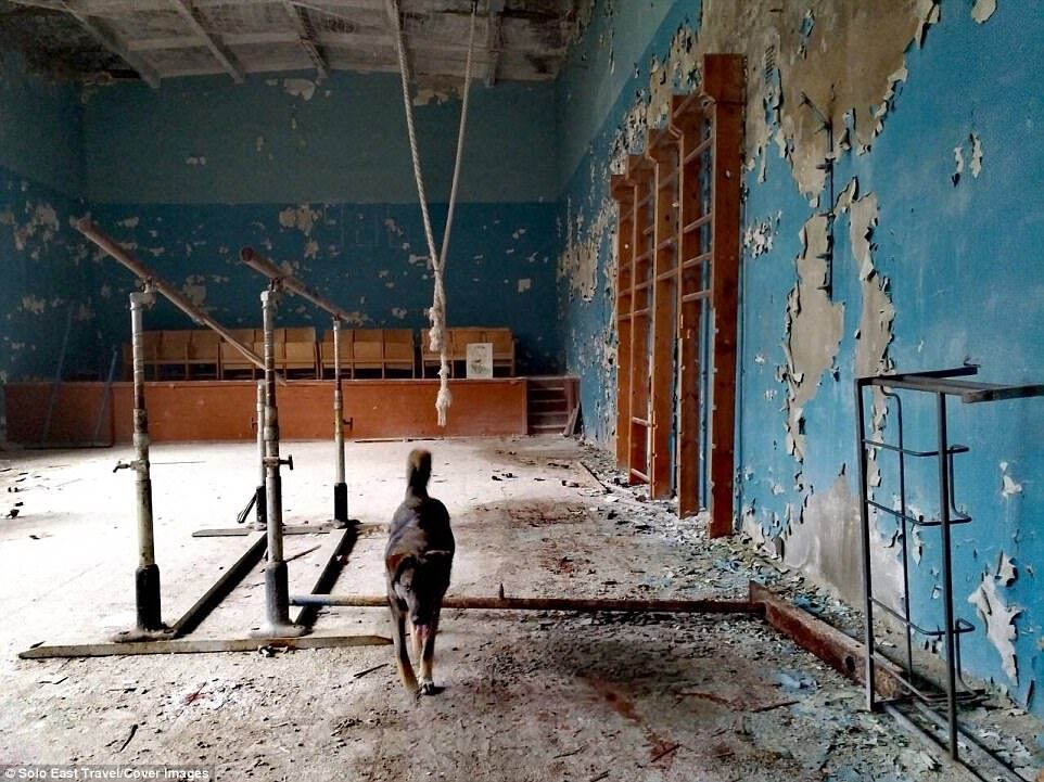 Выжили после Чернобыля: журналисты показали жителей зоны отчуждения