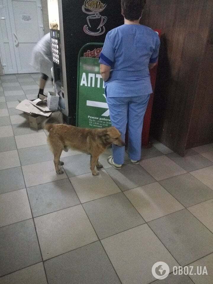 Чем удивила больница в Борисполе: эксклюзивный фоторепортаж