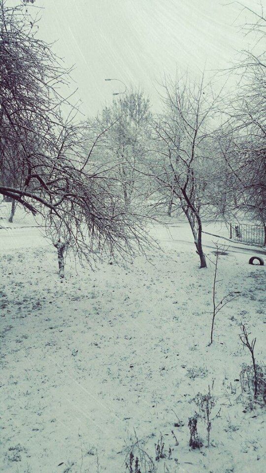 Киев засыпало снегом: опубликованы яркие фото и видео