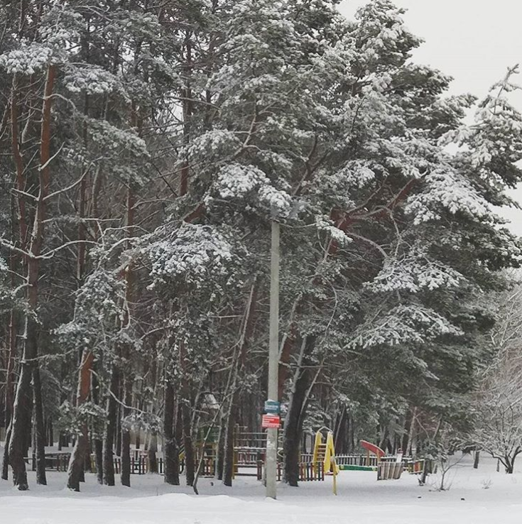 Киев засыпало снегом: опубликованы яркие фото и видео