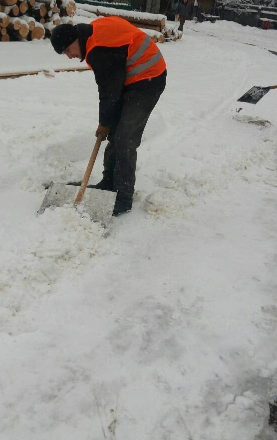 Киев засыпало снегом: опубликованы яркие фото и видео