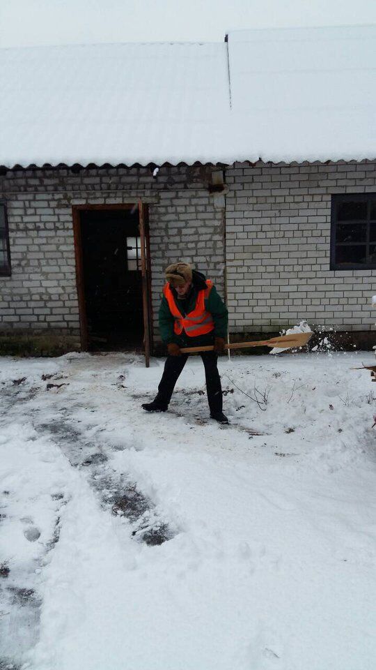 Київ засипало снігом: опубліковані яскраві фото та відео