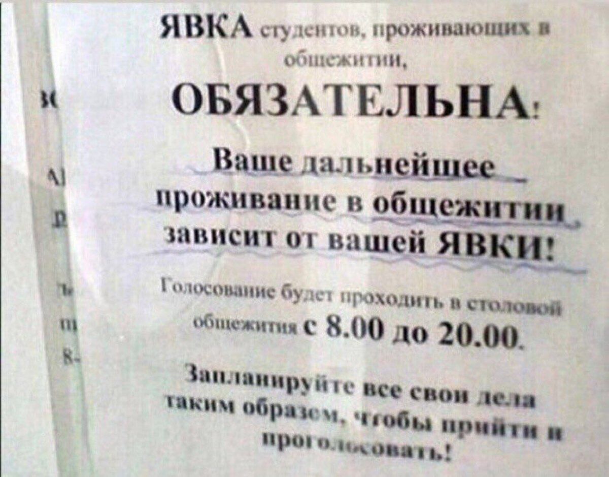 Студентам России угрожают за неявку на выборы Путина: появилось фото