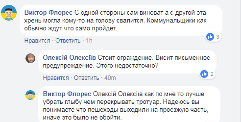 "Природа вчить": киян попередили про крижану небезпеку